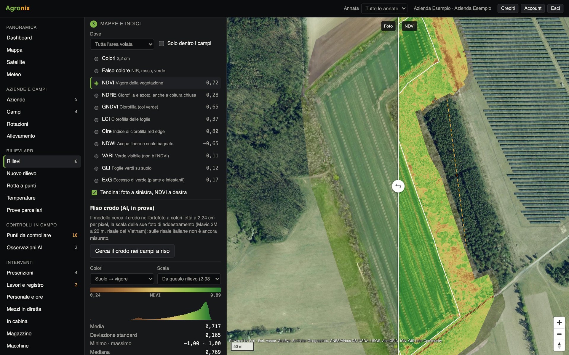 Tendina fra foto e NDVI