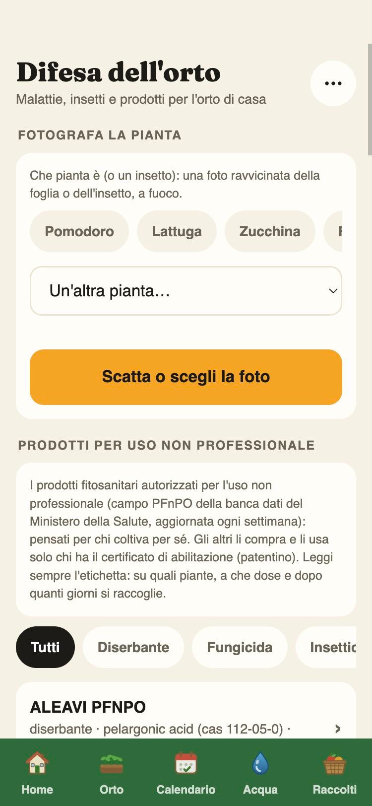 La Difesa: foto della pianta e diagnosi